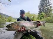Tim and big Rainbow trout Slovenia